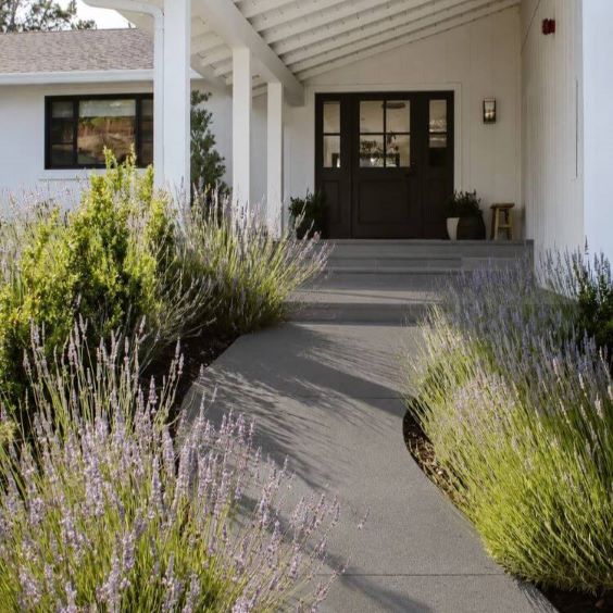 Walkways & Sidewalks | 515 DCS